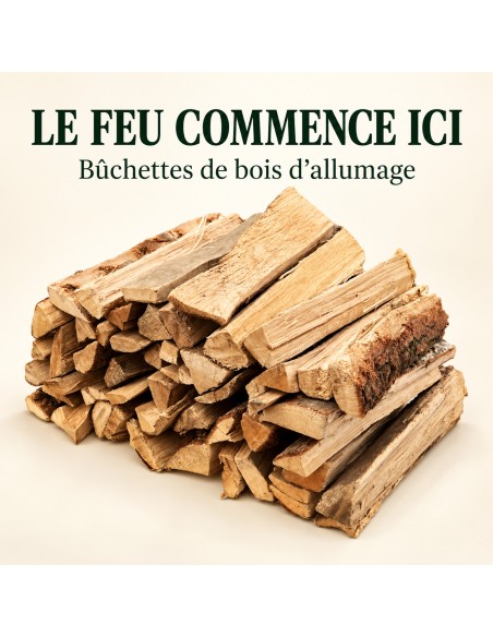Bois d'allumage
